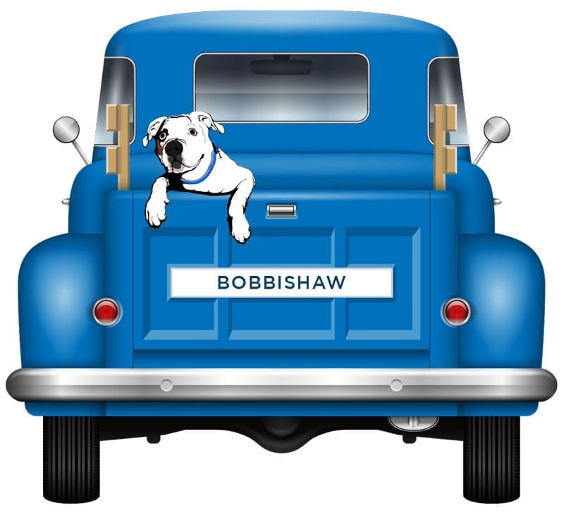 Rendered illustration of a dog sitting in the back of a vintage pickup truck with the license plate BOBBISHAW